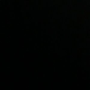 Meet your Posher, Owen